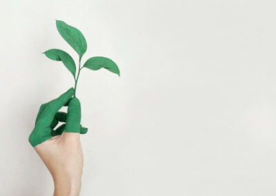 Projet développement durable