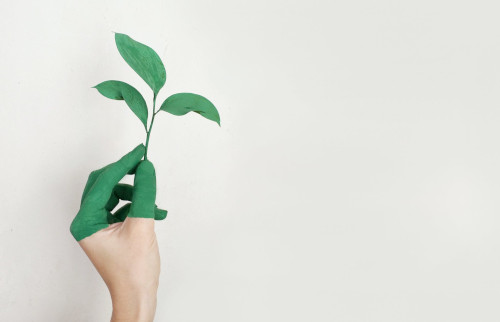 Projet développement durable
