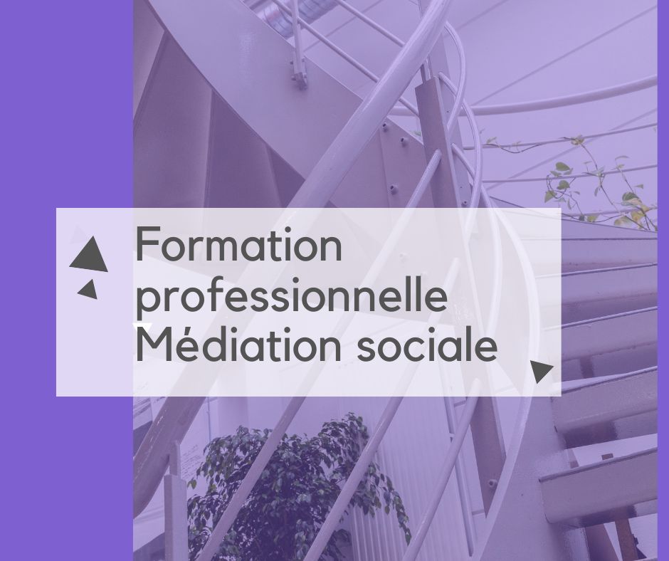 visuel formation médiation sociale